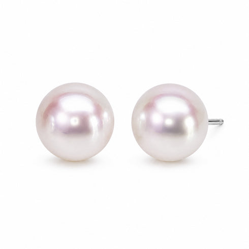 White button freshwater pearl stud earrings, pair with silver posts.