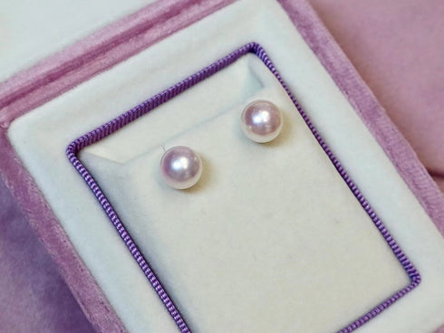 8-8.5mm White Akoya Pearl Stud Earrings