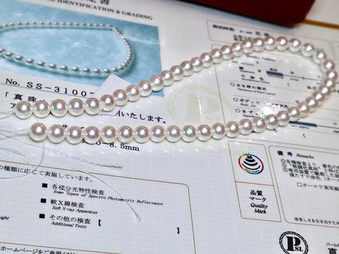 Necklace with Hanadama Grade Akoya pearls, 8.0–8.5 mm, white lustrous beads; House Of Pearls - TA SSL Certified