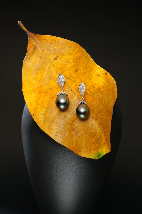 House Of Pearls Tahitian pearl drop earrings with diamond-studded tops (2 earrings shown)
