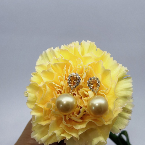 Pair of Earrings, 11–12mm Golden South Sea Champagne Halo by House Of Pearls