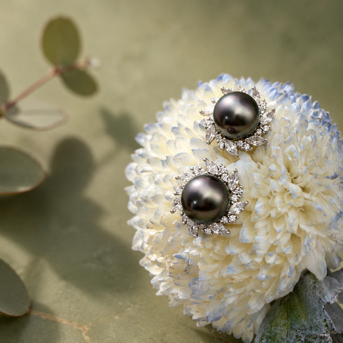9-10mm Tahitian pearl sunburst stud earrings by House Of Pearls, diamond halo, pair