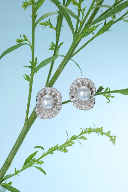 Seashell Freshwater Pearl Ear Stud Earrings - Earrings made with hand-selected pearls from House of Pearls