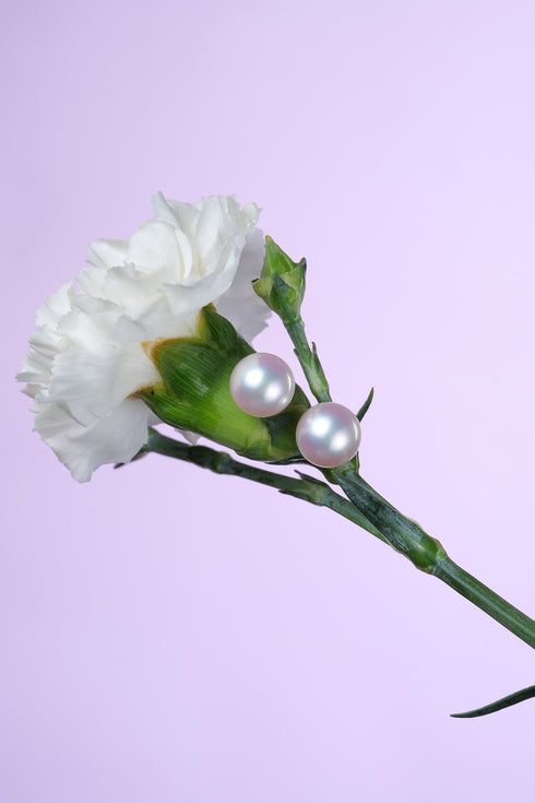 Pearl stud earrings, Akoya 9–9.5mm white pearls in 18K gold