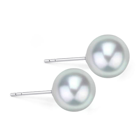 Earrings Silver-Blue Japanese Akoya pearl studs, AAA, 4–8mm, House of Pearls-TA