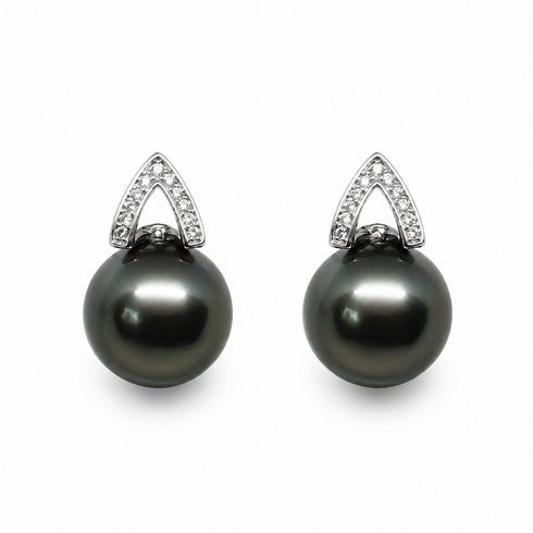 Tahitian South Sea Apex Noir Stud Earrings pair with dark grey pearls and pavé diamond mounts by House Of Pearls XM